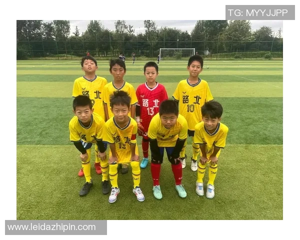 南京足球队的个人能力揭秘：从技术到战术的全面分析与探讨